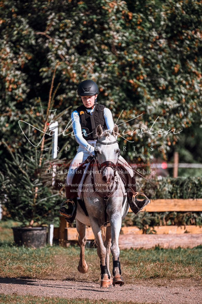 DSC_0660 | Pferde- und Turnierfotografie in Westsachsen. Pferdeportraits, Auftragszeichnungen und intuitive Kunst.