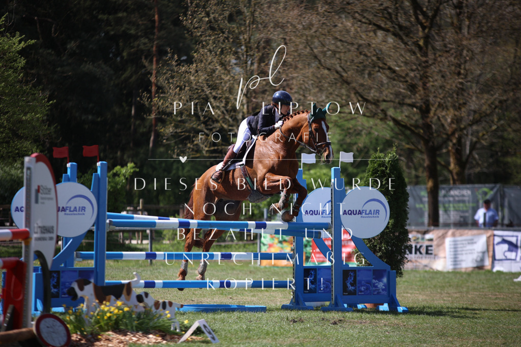 IMGT1163 | pl-fotografie