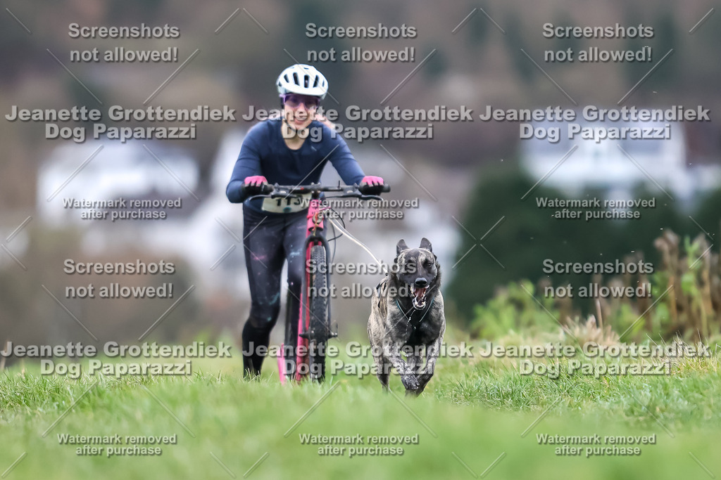 Dog Paparazzi - Herkules Race  2025-19 | Dog Paparazzi Jeanette Grottendiek Fotografie & Videografie - Realisiert mit Pictrs.com