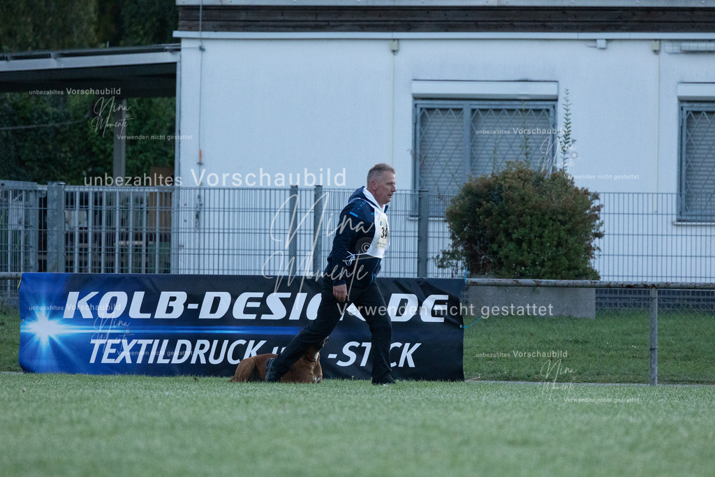 _16A5726 | Einzigartige Fotos von Hunden & Menschen –Actionfotos, Portraits, Vereinsaufnahmen & Paarshootings – authentisch, lebendig & mit Herz.