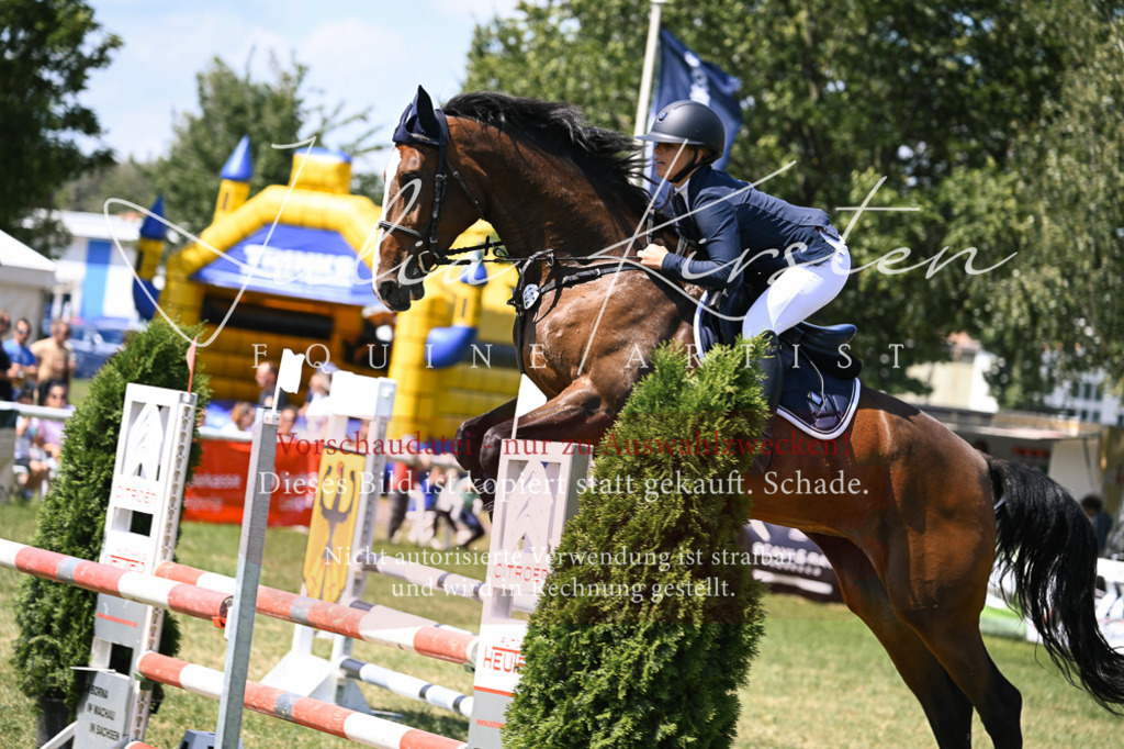 DSC_0113 | Pferde- und Turnierfotografie in Westsachsen. Pferdeportraits, Auftragszeichnungen und intuitive Kunst.