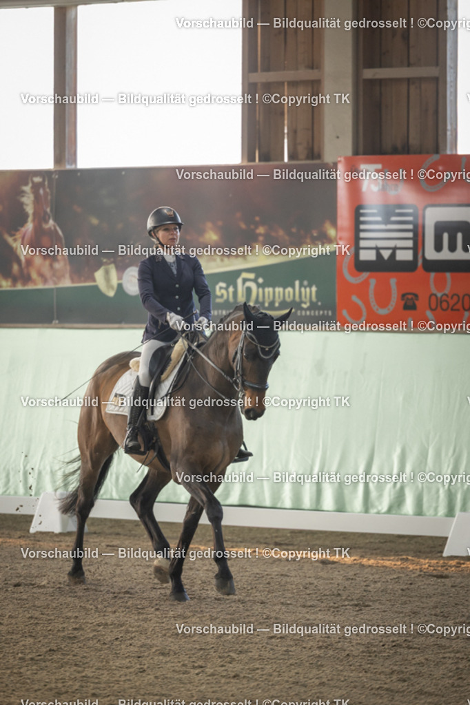 _D5A3912 | Emotionale Pferde- & People-Fotografie rund um Heidelberg, Leimen & Umgebung. Natürliche Fotos von Pferd, Mensch & Familie. Jetzt Termin sichern!