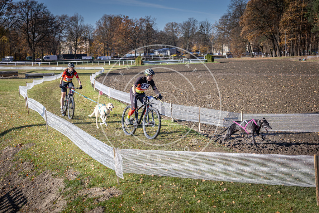 CaniXpix_DV3A6917 | Hundefotografie, Tierfotograf, Pfotenfotografie, Fotoshooting Hund, Hunde Portrait, Hundesport, Hundeportraits, Heideshooting, Hunde, Sportfotograf, Hundefotograf, Turnierhundsport, THS,  - Realisiert mit Pictrs.com
