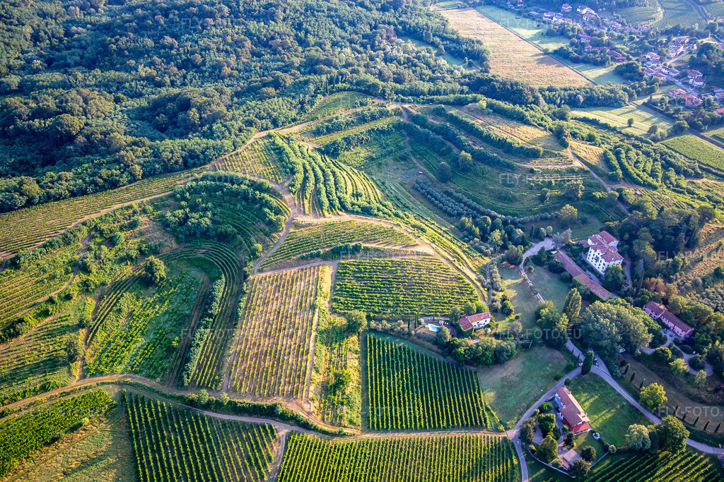 Vue aérienne: Vignobles à Mossa dans le département Gorizia, Italie. Photo: IMG_137601.jpg prise le 16/07/2023 par Werner Riehm/FLY-FOTO.euRésolution de l'original: 5472 x 3648 px