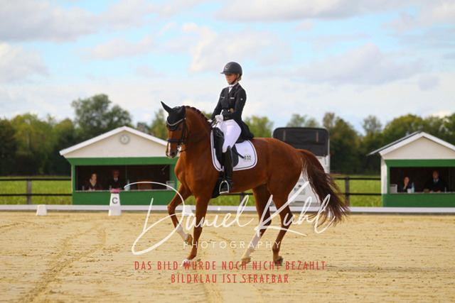 DKP44383 | Turniersportfotografie; Pferdefotografie; Dressurfotografie