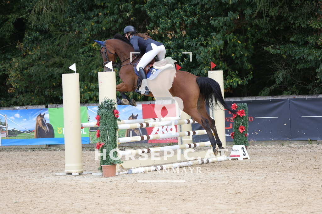 0P6A2618 | Willkommen bei Brunnmayr - Design & Fotografie – Ihrem Spezialisten für Reitturniere und Pferdeveranstaltungen in Oberösterreich, Salzburg und Bayern! Seit über 17 Jahren sind wir leidenschaftlich dabei.