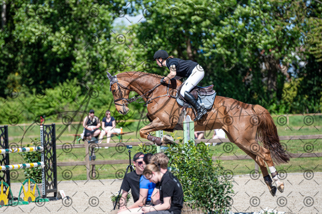 KPT_1244 | andre_photographic