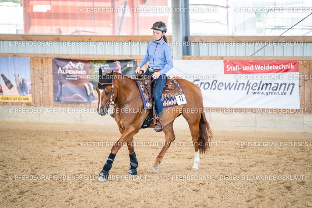 DSC03099 | Pferdegrafie