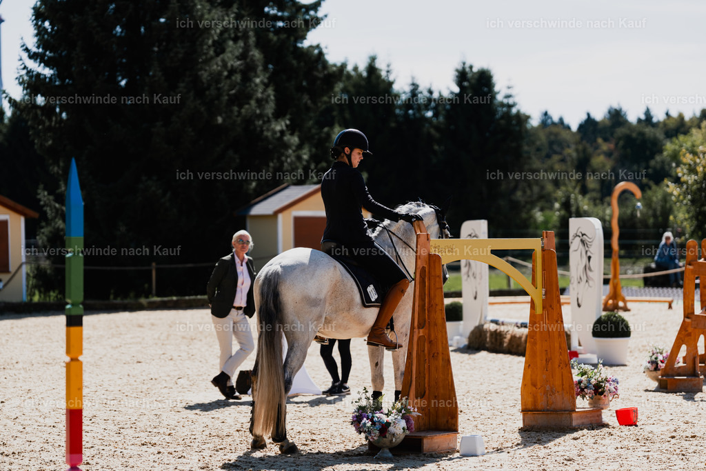 Svea13FHC2025-08755 | working equitationturnier fotograf videograf stoibphotography marixx film working equitation deutschland reitsport turnierfotografie eventfotografie equestrian events