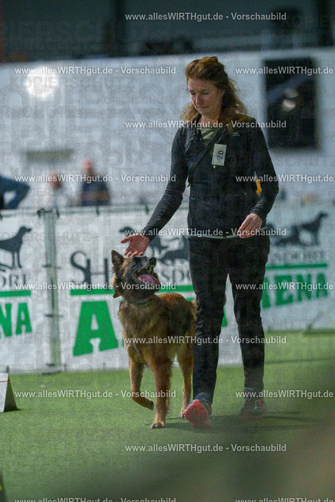 7R500920 | Professionelle Tierfotografie in Mönchengladbach von Daniel Wirth (allesWIRTHgut). Liebevolle & natürliche Bilder von Hunden & Katzen für unvergessliche Erinnerungen.