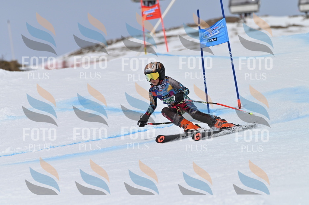 BGV_4555 | holidayphoto