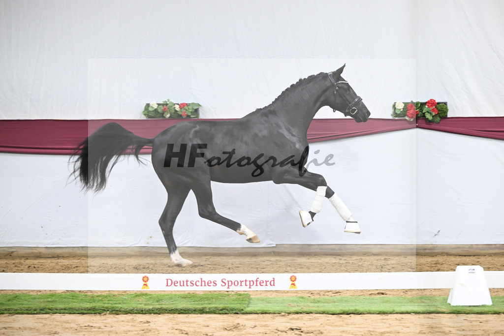 Kat-Nr. 50 Energy x Sezuan_Wilhelm u. Marvin Klausing GbR_47251882 | hf-fotografie - Realisiert mit Pictrs.com