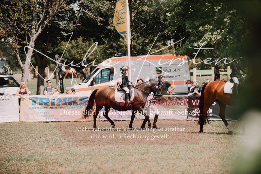 DSC_6126 | Pferde- und Turnierfotografie in Westsachsen. Pferdeportraits, Auftragszeichnungen und intuitive Kunst.