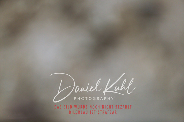 IMG_2408 | Turniersportfotografie; Pferdefotografie; Dressurfotografie