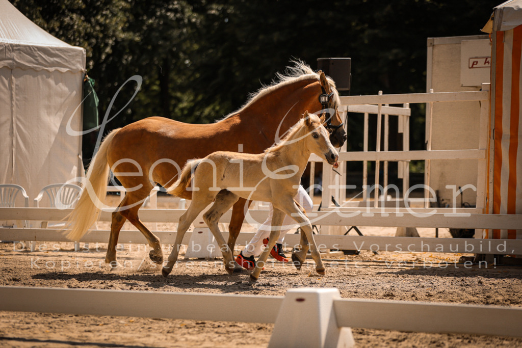 06.DoH00146 | Leoni Ertmer Photography - Realisiert mit Pictrs.com