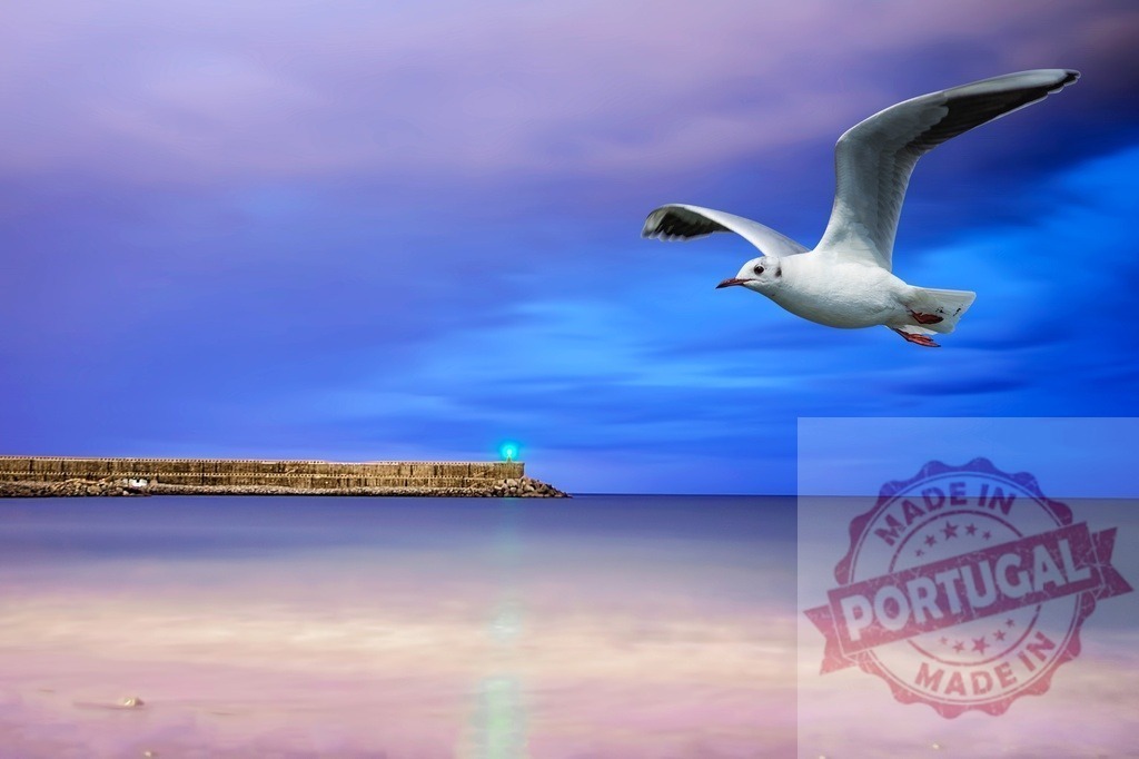 Seagull flying over ocean pier with guiding light | Seagull flying freedom over water with pier and its guiding light at twilight - Realisiert mit Pictrs.com