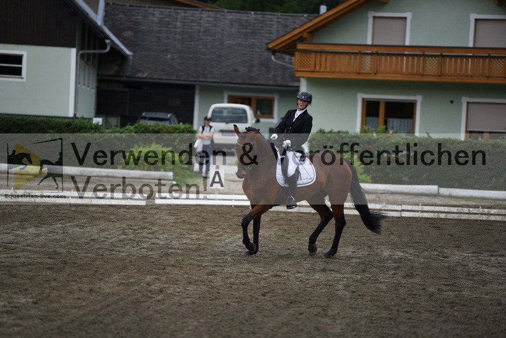 DSC_4735 | equestrian-live-com
