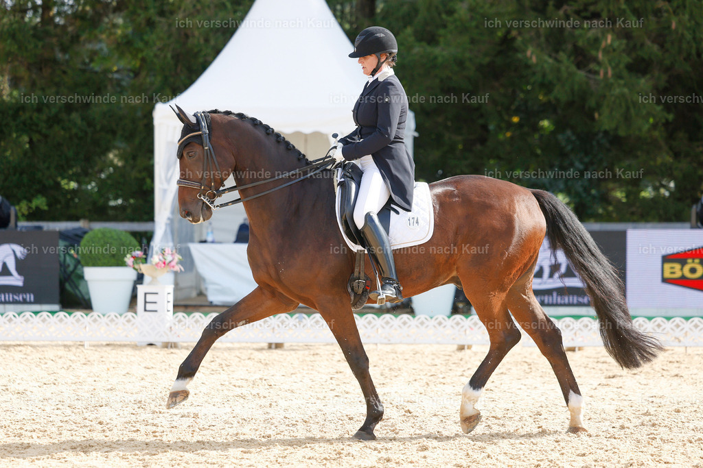09_2-174-DRESSUR  S_  -StoibPH-5774 | working equitationturnier fotograf videograf stoibphotography marixx film working equitation deutschland reitsport turnierfotografie eventfotografie equestrian events