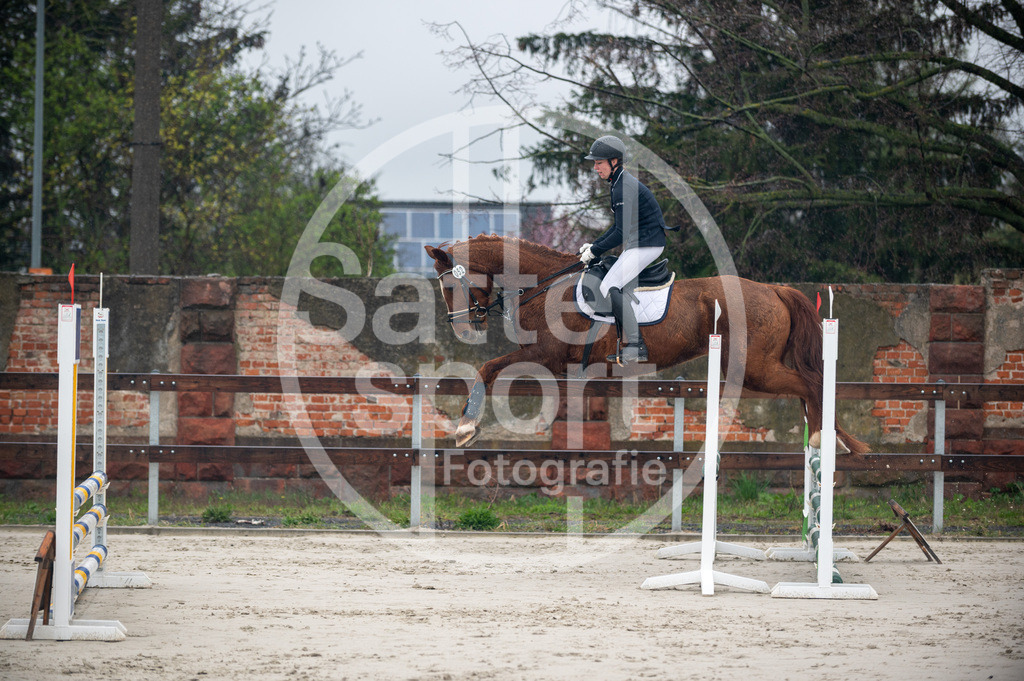 DSC_8502 | sattelsport - Realisiert mit Pictrs.com