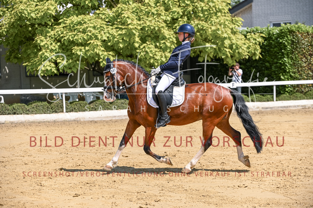 Schugtsche-Aluta25-53.Amat.Dressurprf.A2-154 | Schugtsche Fotografie - Realisiert mit Pictrs.com