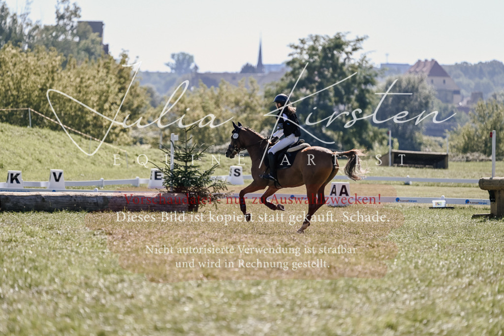 DSC_2997 | Pferde- und Turnierfotografie in Westsachsen. Pferdeportraits, Auftragszeichnungen und intuitive Kunst.