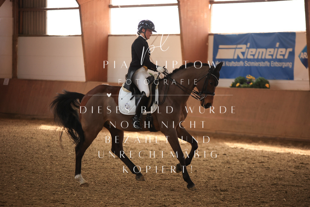 IMGT4272 | pl-fotografie