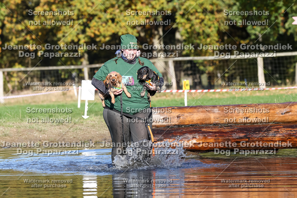 Dog Paparazzi - Strongdog 10-25-8804 | Dog Paparazzi Jeanette Grottendiek Fotografie & Videografie - Realisiert mit Pictrs.com