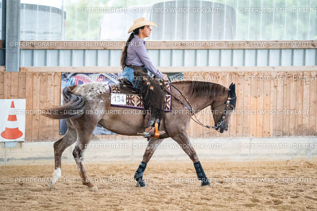 DSC03323 | Pferdegrafie