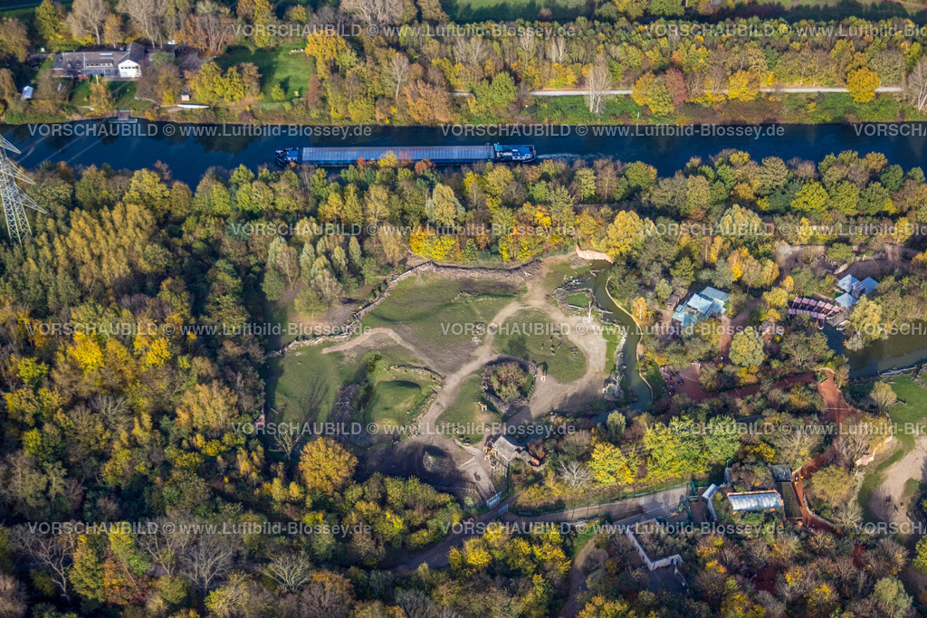 Gelsenkirchen221101733suedlich | Luftbild, ZOOM Erlebniswelt Zoo, Bismarck, Gelsenkirchen, Ruhrgebiet, Nordrhein-Westfalen, Deutschland