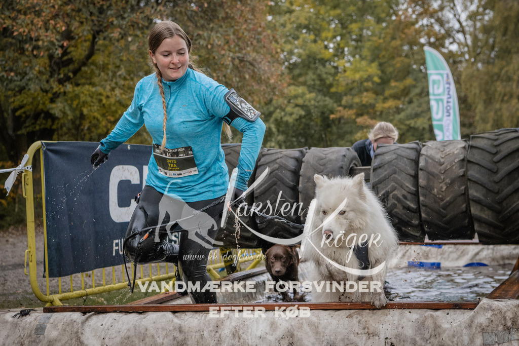 1620_ZZ93081 | kk-dogfotos