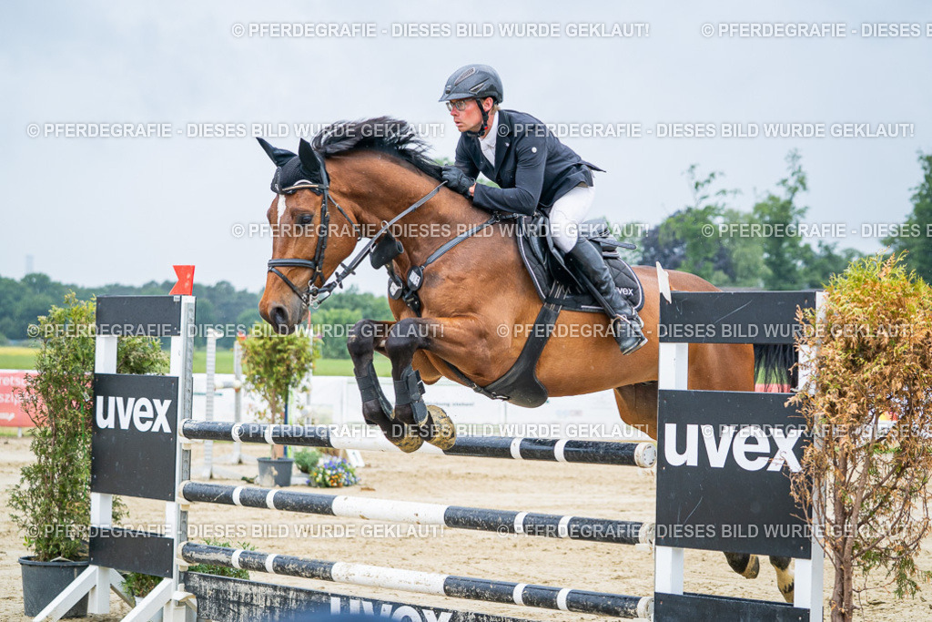 DSC01792 | Pferdegrafie