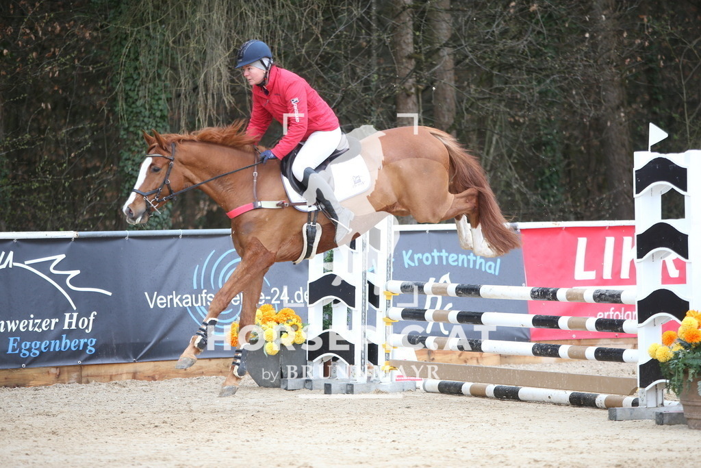 AS8V9943 | Willkommen bei Brunnmayr - Design & Fotografie – Ihrem Spezialisten für Reitturniere und Pferdeveranstaltungen in Oberösterreich, Salzburg und Bayern! Seit über 17 Jahren sind wir leidenschaftlich dabei.