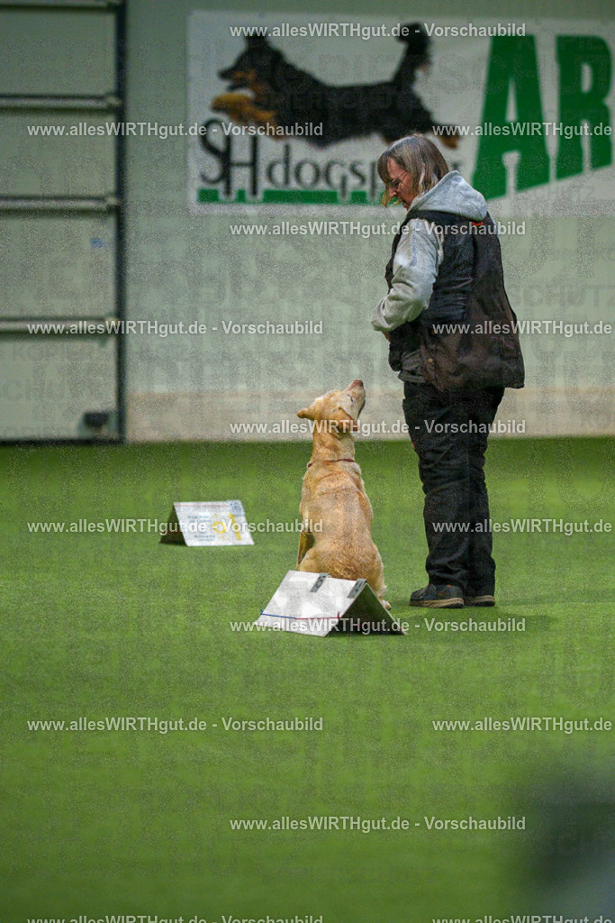 7R504644 | Professionelle Tierfotografie in Mönchengladbach von Daniel Wirth (allesWIRTHgut). Liebevolle & natürliche Bilder von Hunden & Katzen für unvergessliche Erinnerungen.