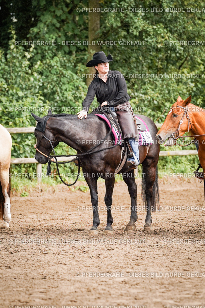 DSC09235 | Pferdegrafie