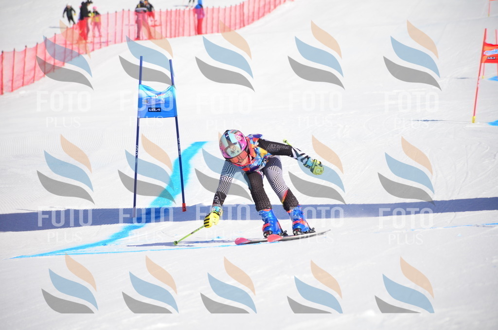 VR4_8545 | holidayphoto