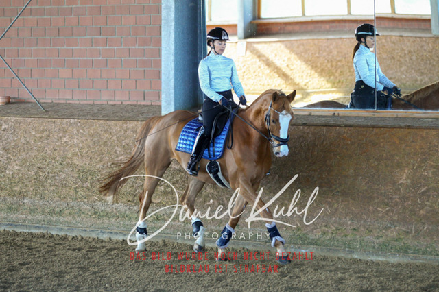 DKP42207 | Turniersportfotografie; Pferdefotografie; Dressurfotografie