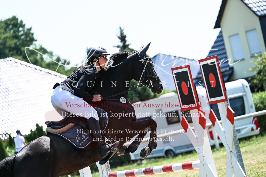 DSC_0205 | Pferde- und Turnierfotografie in Westsachsen. Pferdeportraits, Auftragszeichnungen und intuitive Kunst.