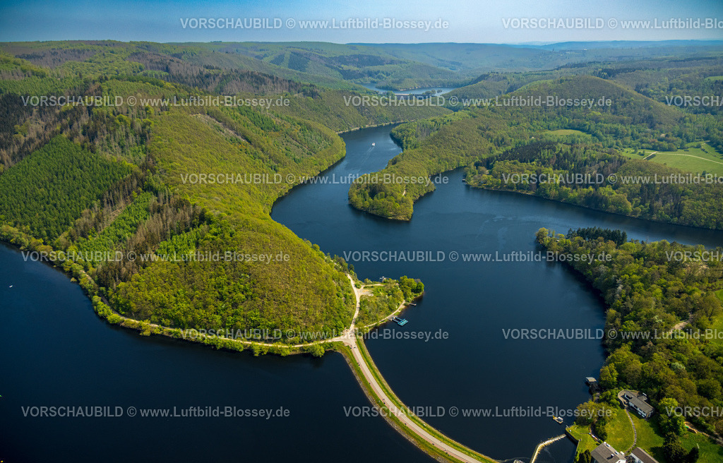 Simmerath240501973Rursee | Luftbild, Rursee und Ostufer des Obersees mit hügeligem Waldgebiet, Paulushofdamm, Rurberg, Simmerath, Nordrhein-Westfalen, Deutschland