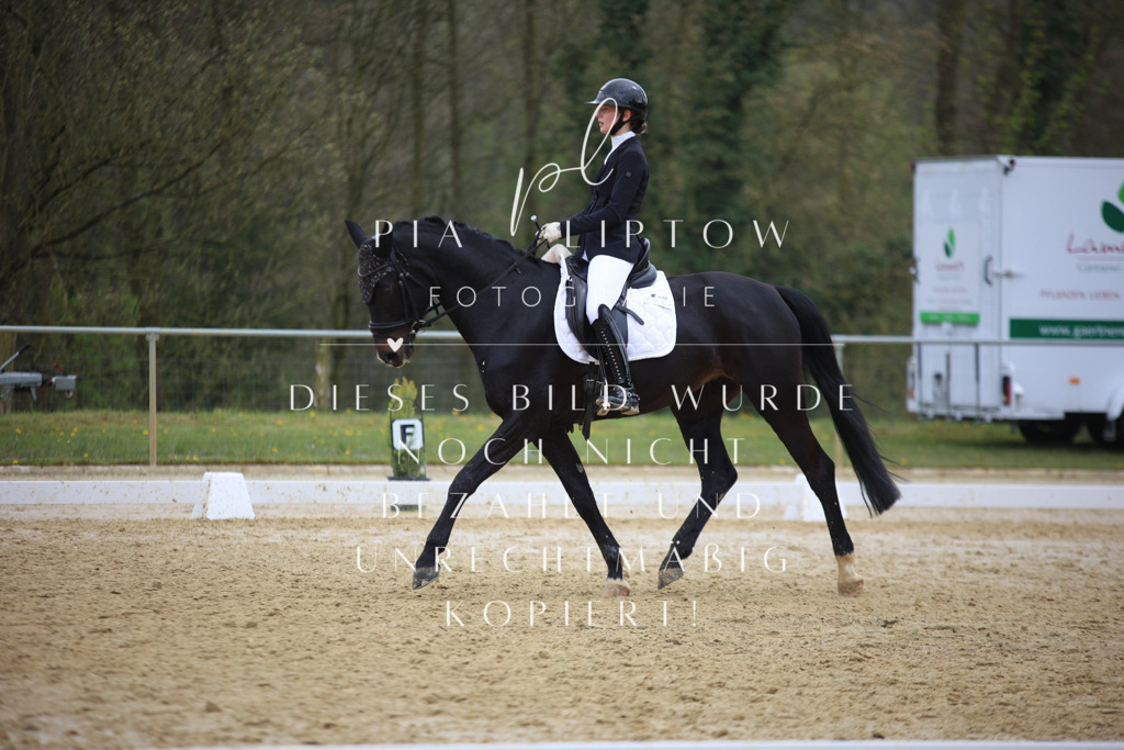 IMGT5953 | pl-fotografie