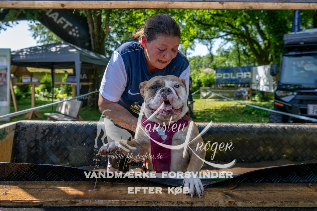 1249_ZZ92568 | kk-dogfotos