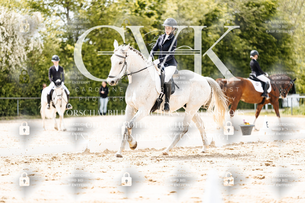CK902115 | Turnierfotografie Pferdefotografie Trier Rheinland-Pfalz Pferdesport Reitsport Tierfotografie Sportfotografie Pferdevideo Pferdevideografie Equestrianvideography equestrianphotography  - Realisiert mit Pictrs.com