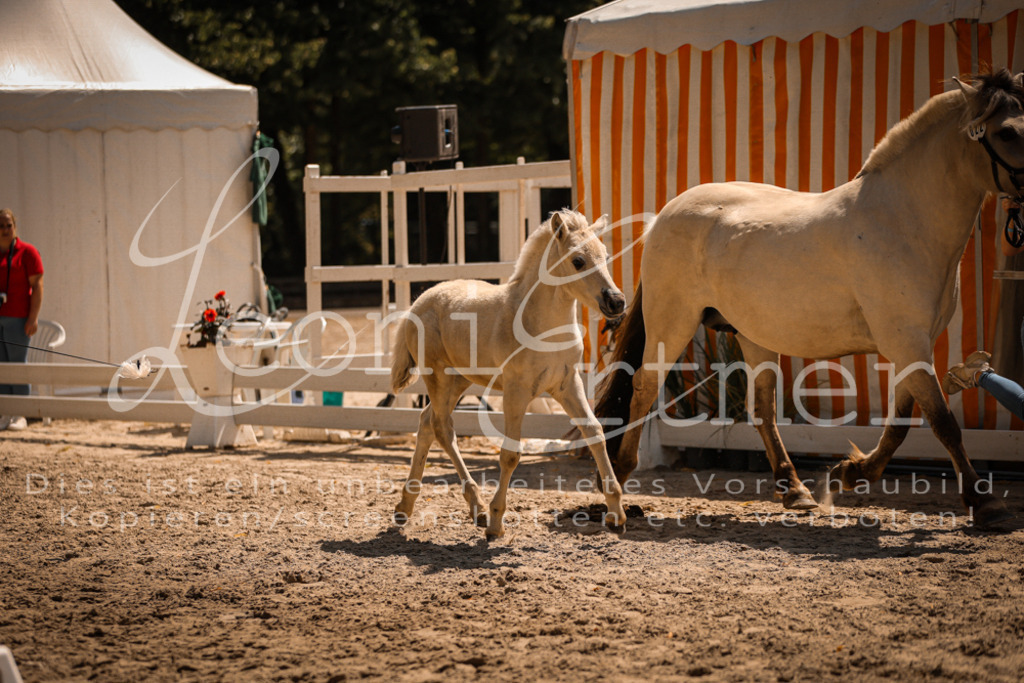 05.DoF00063 | Leoni Ertmer Photography - Realisiert mit Pictrs.com