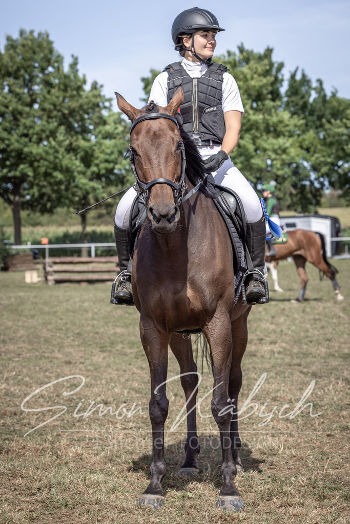 20250907-_3LI0243 | Tierfotografie Pferde, Hunde, Katzen, Haustiere.
Turnierfotografie Reitturniere, Reiten, Springreiten, Dressur in Hanau, dem Main-Kinzig-Kreis und dem Rhein-Main- Gebiet um Frankfurt