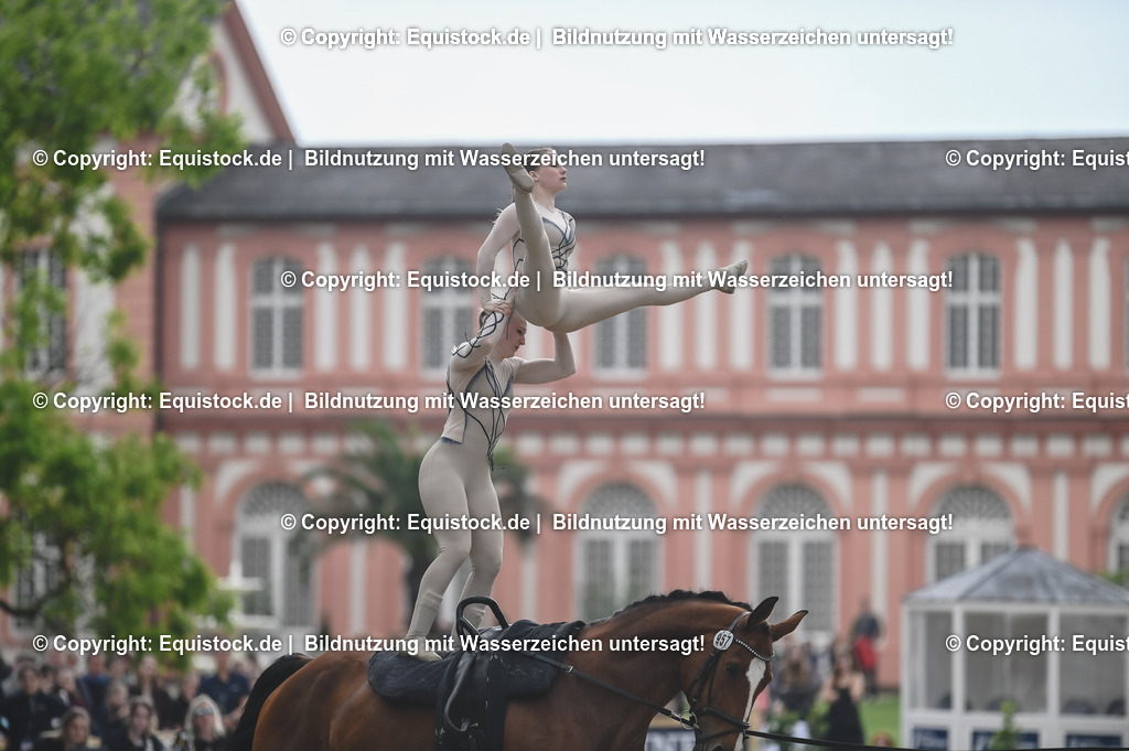 20240519_Voltige_0627 | Foto: Thomas Hartig