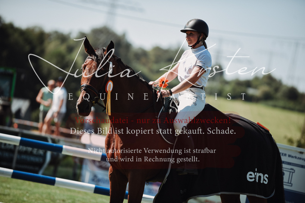 DSC_3361 | Pferde- und Turnierfotografie in Westsachsen. Pferdeportraits, Auftragszeichnungen und intuitive Kunst.