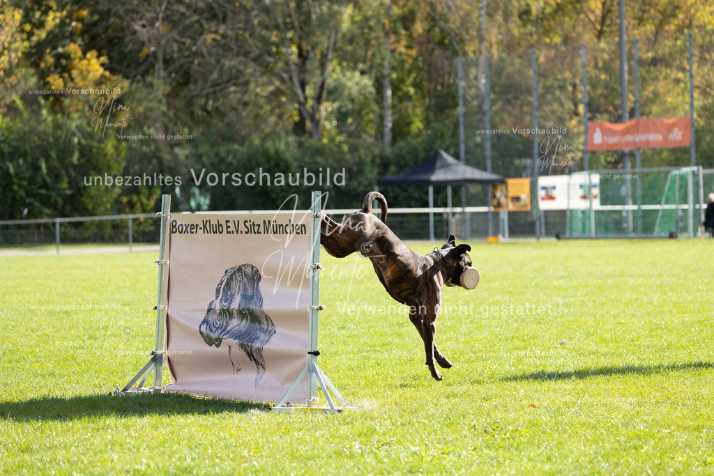 _16A6844 | Einzigartige Fotos von Hunden & Menschen –Actionfotos, Portraits, Vereinsaufnahmen & Paarshootings – authentisch, lebendig & mit Herz.