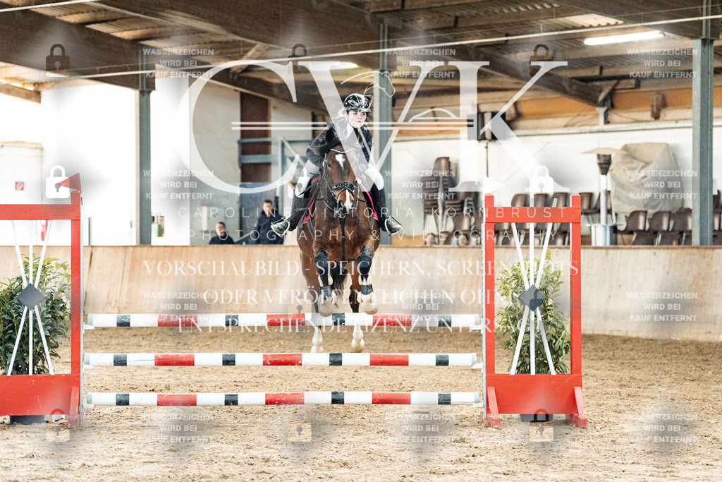 CK904541 | Turnierfotografie Pferdefotografie Trier Rheinland-Pfalz Pferdesport Reitsport Tierfotografie Sportfotografie Pferdevideo Pferdevideografie Equestrianvideography equestrianphotography  - Realized with Pictrs.com