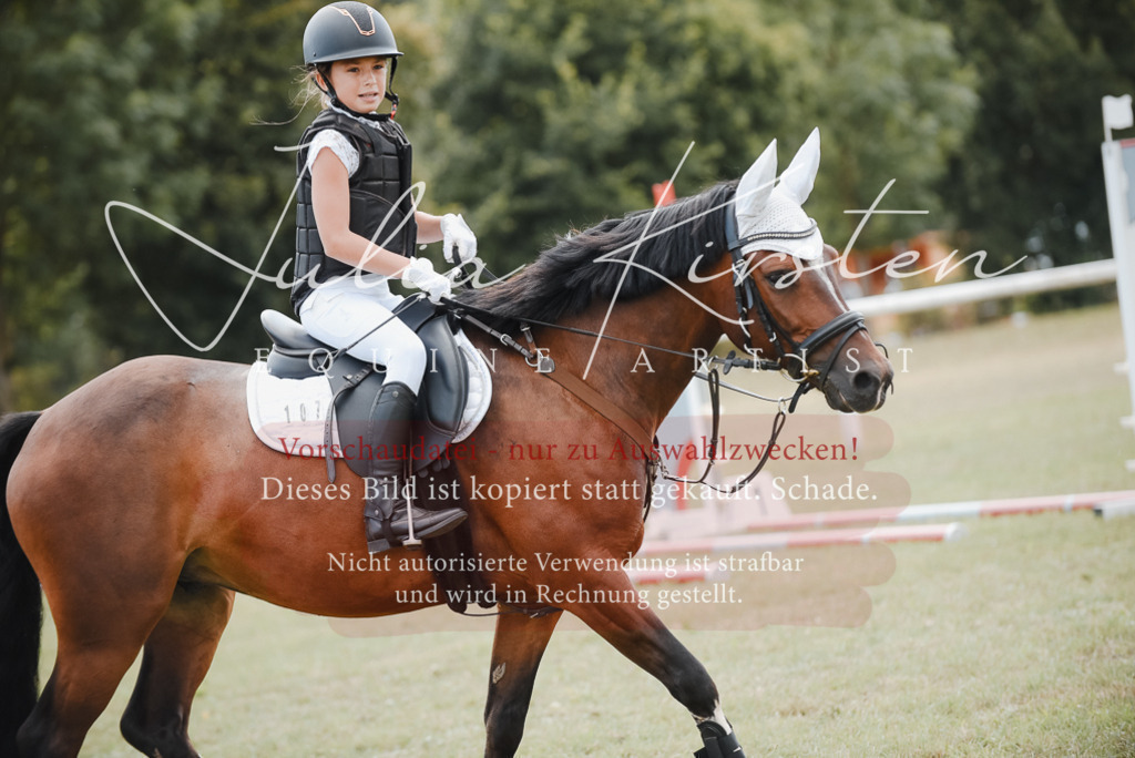 DSC_5500 | Pferde- und Turnierfotografie in Westsachsen. Pferdeportraits, Auftragszeichnungen und intuitive Kunst.