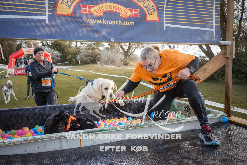 1324_ZZ90514-2 | kk-dogfotos