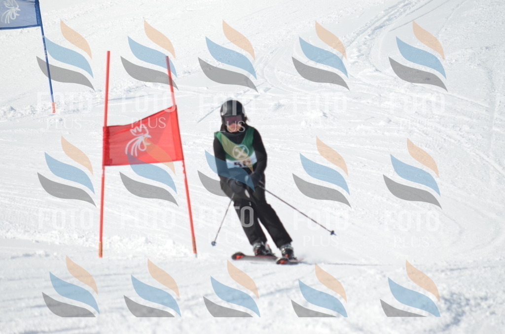 D8826 | holidayphoto